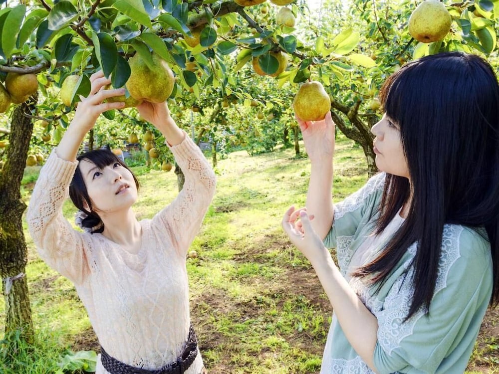 ホテルグリーンパーク 写真2