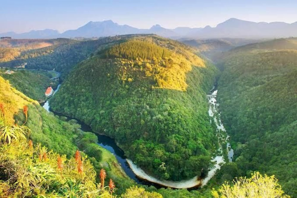 IdylWilde 24/50