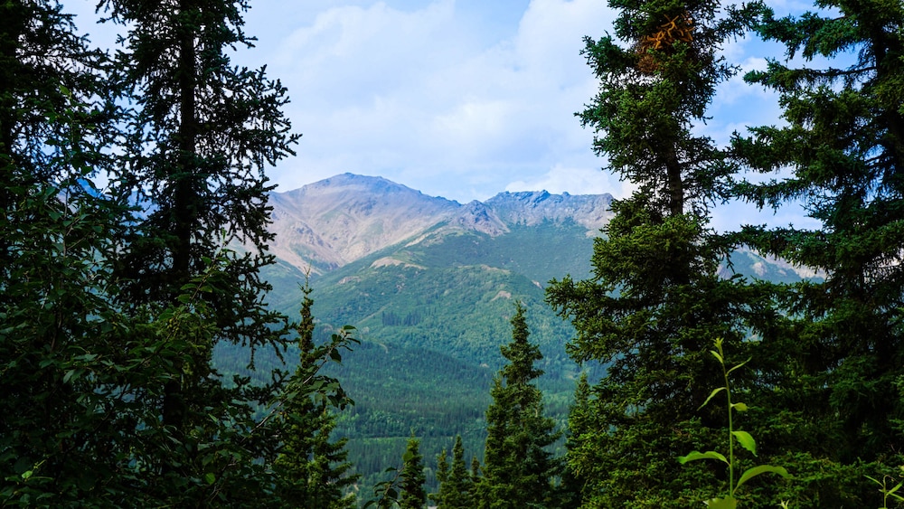 Denali Crow s Nest Cabins 39/48