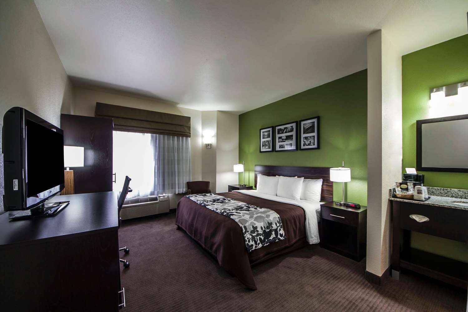 Room, King Bed
