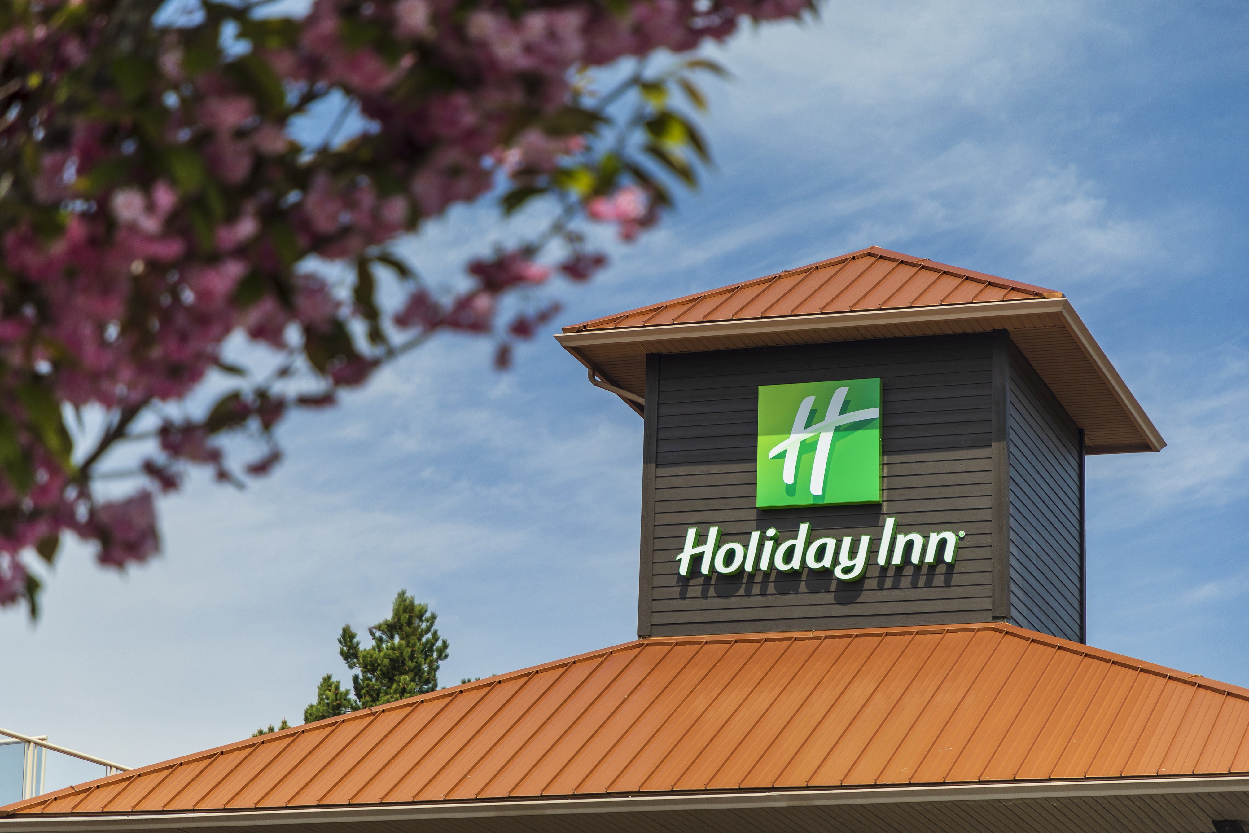 Elk Lake Inn Suites Victoria 6/81