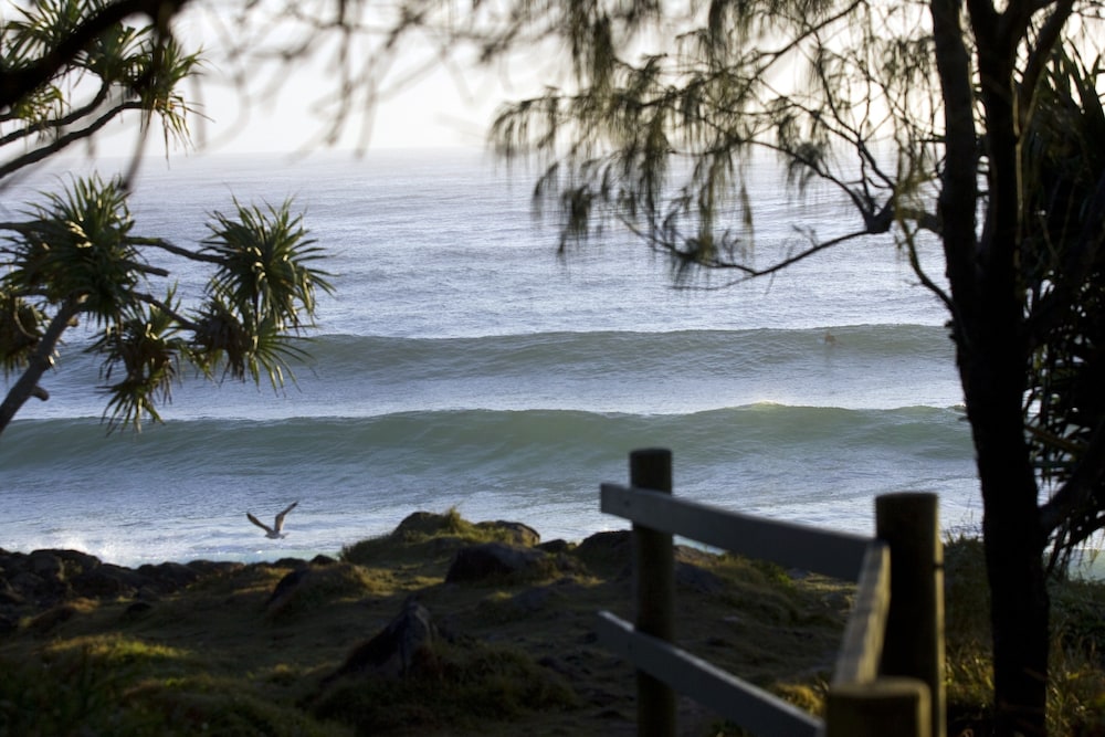 The Beach Cabarita 75/78
