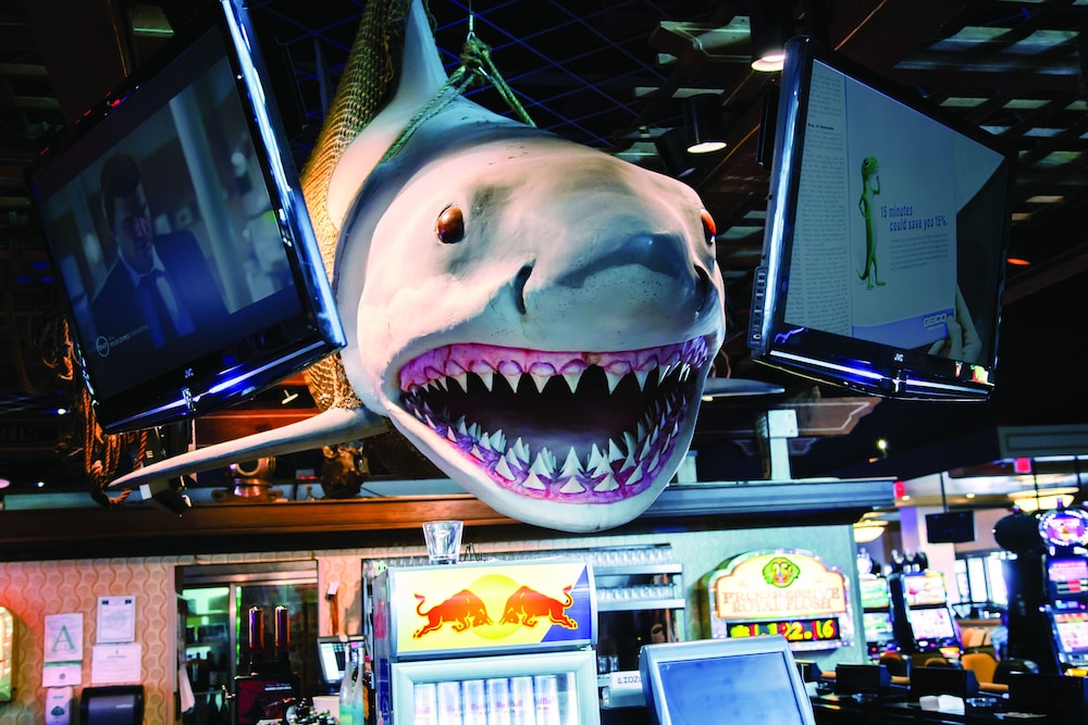 Hollywood Casino Tunica 65/74
