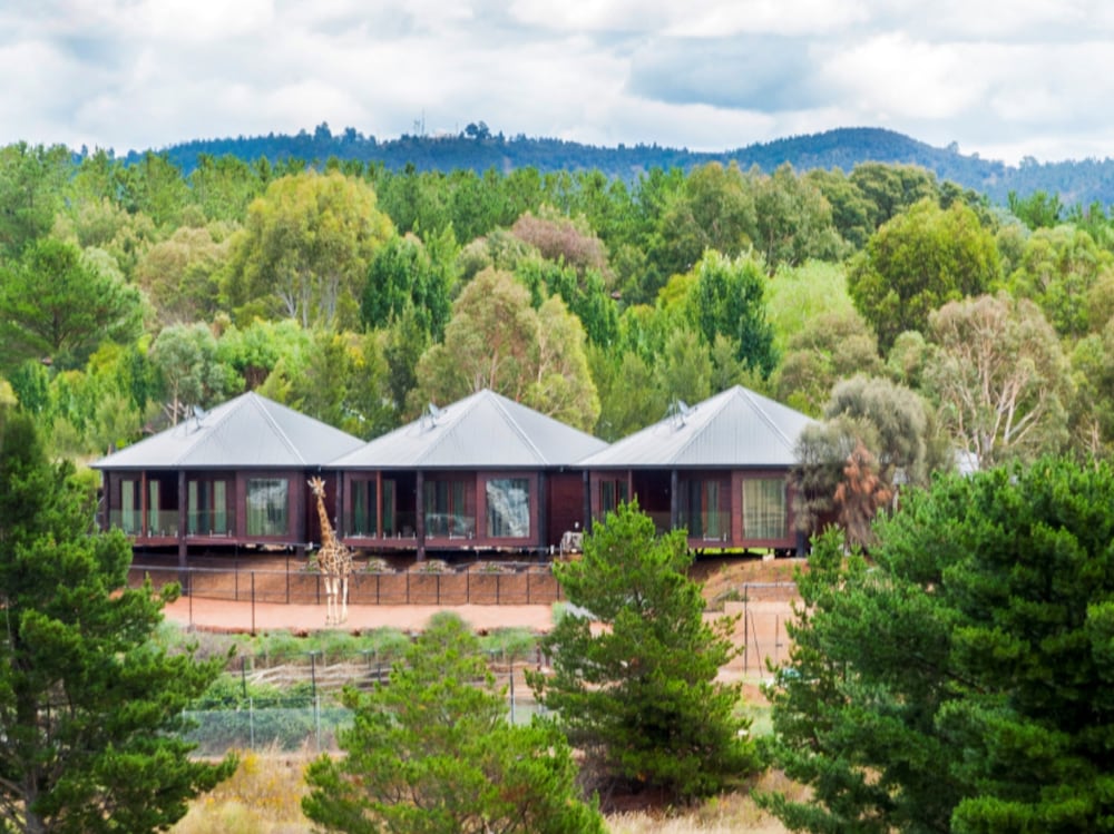 JAMALA WILDLIFE LODGE 2/50