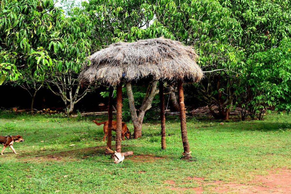 Our Native Village. 61/68
