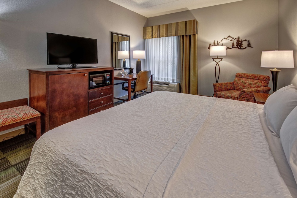 جناح بسرير كينج لذوي الإعاقة، Hampton Inn & Suites Pigeon Forge On The Parkway 2/4