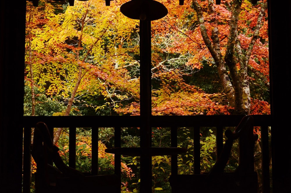 Kurokawa Onsen Okunoyu 48/50