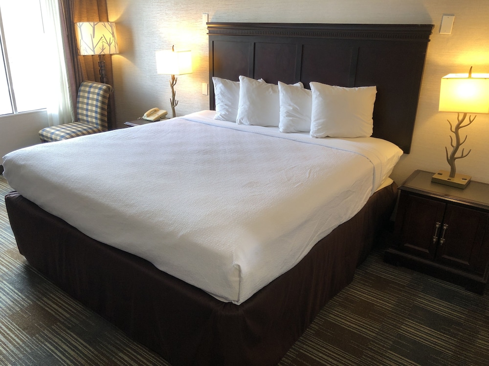 Quality Inn Bath NY 17/24