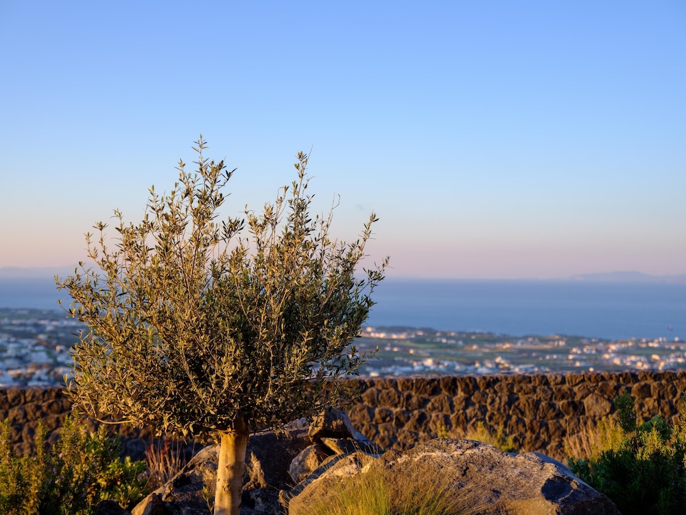 Apikia Santorini Suites - Adults Only 73/85