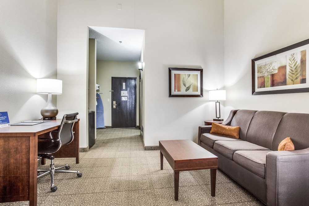 Comfort Inn & Suites Love Field Dallas Market Center 23/37