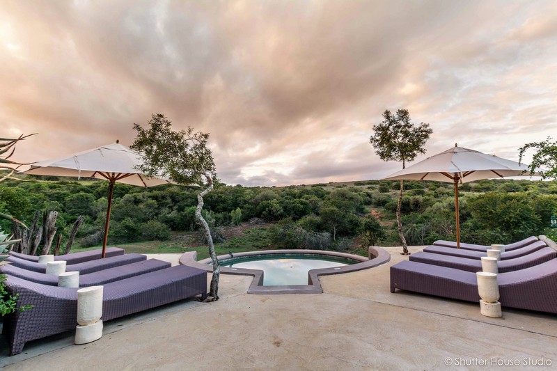 Safari Lodge- Amakhala Game Reserve 42/50
