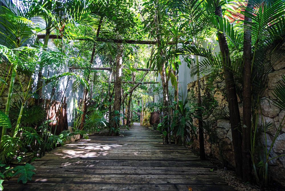 Kuun Taak Tulum 47/50