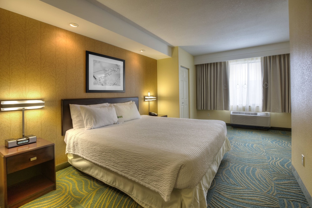 Springhill Suites Tampa Brandon 16/60