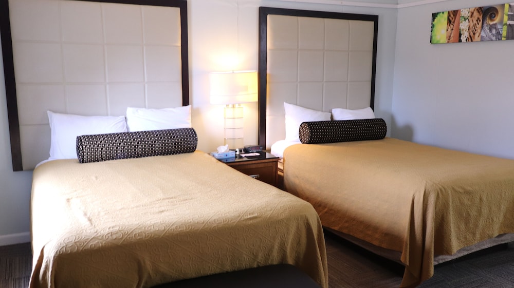 Deluxe, 2 Double Beds