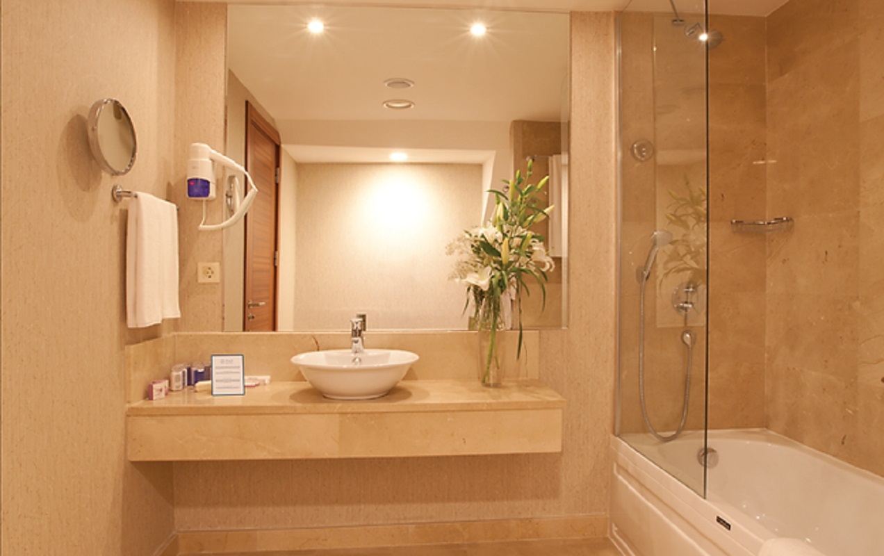 Holiday Inn Gebze Istanbul Asia 55/55