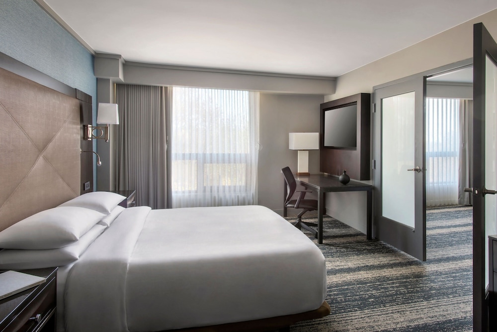 Room, King Bed