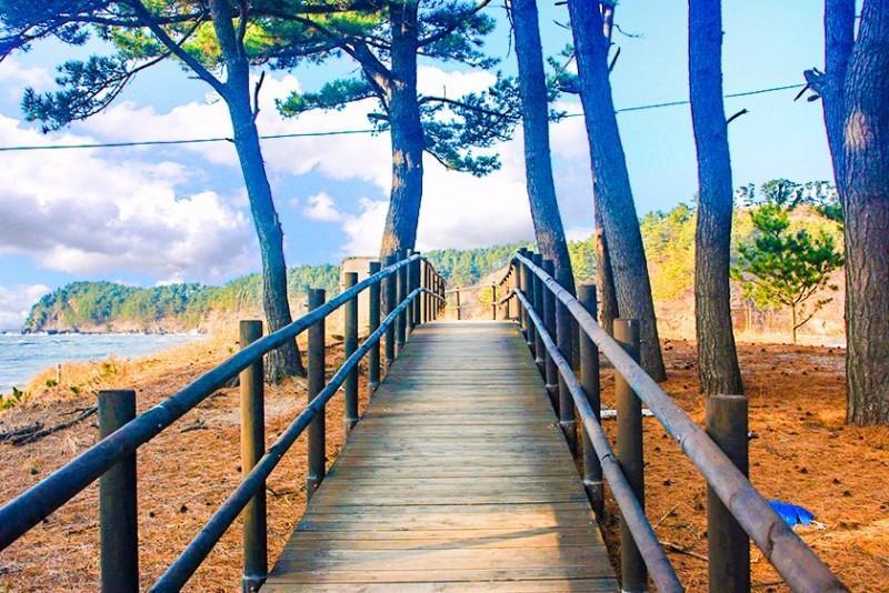 Taean Gooreumpo Beach Caravan 19/20