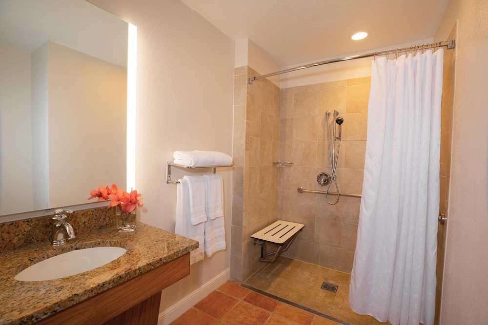 Sheraton Vistana Villages Resort Villas, I-Drive/Orlando 17/39