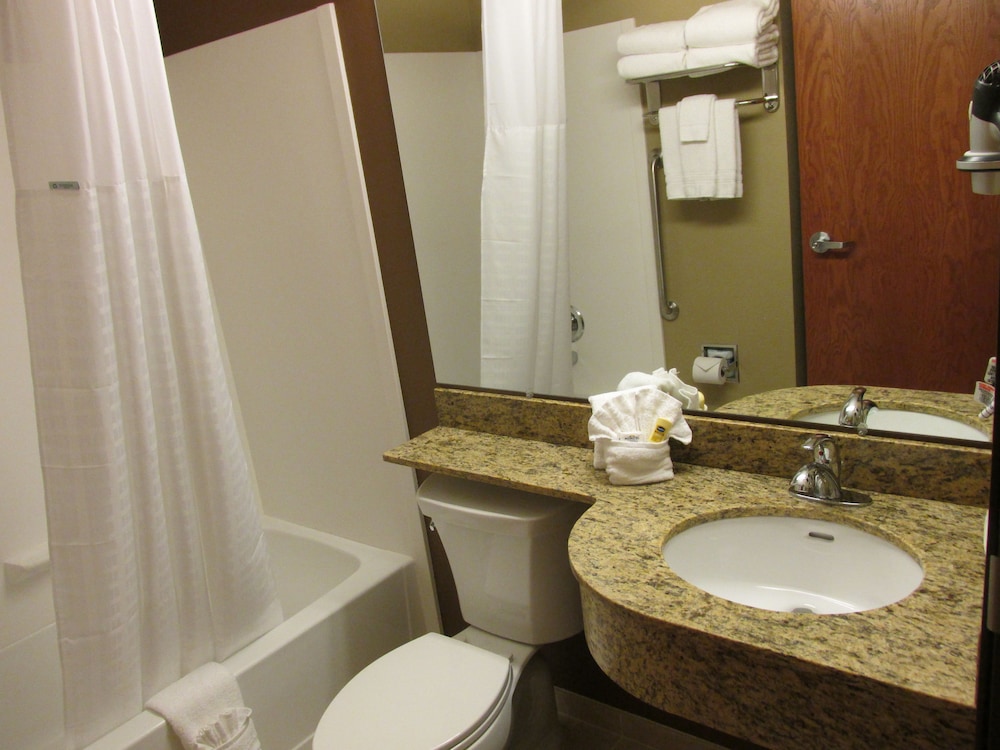 Microtel Inn Suites By Wyndham Midland 11/36