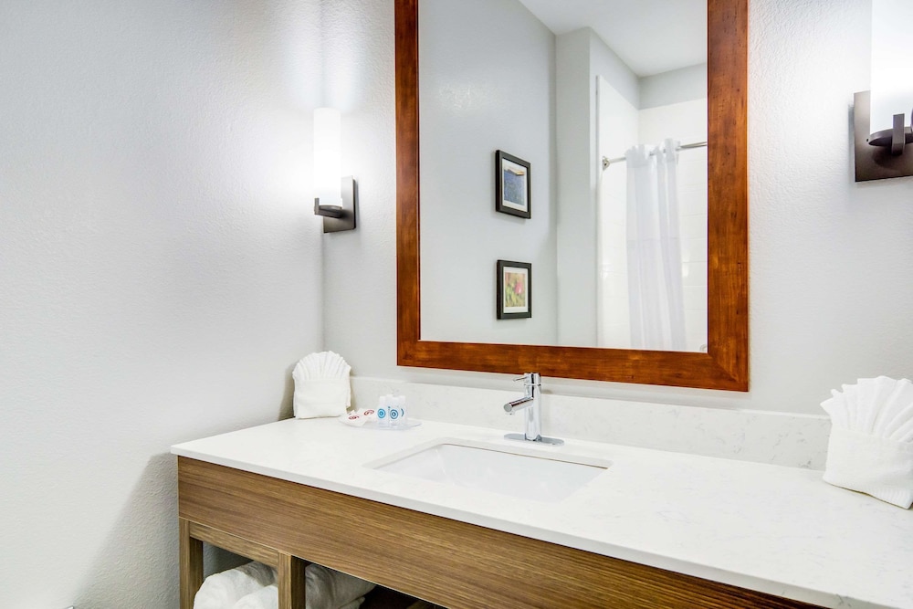 Comfort Suites DeSoto Dallas South 13/51