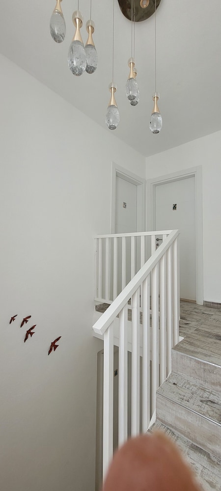 Tenes Otel 4/41