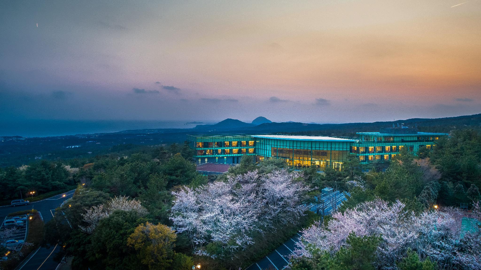WE Hotel Jeju in SEOGWIPO