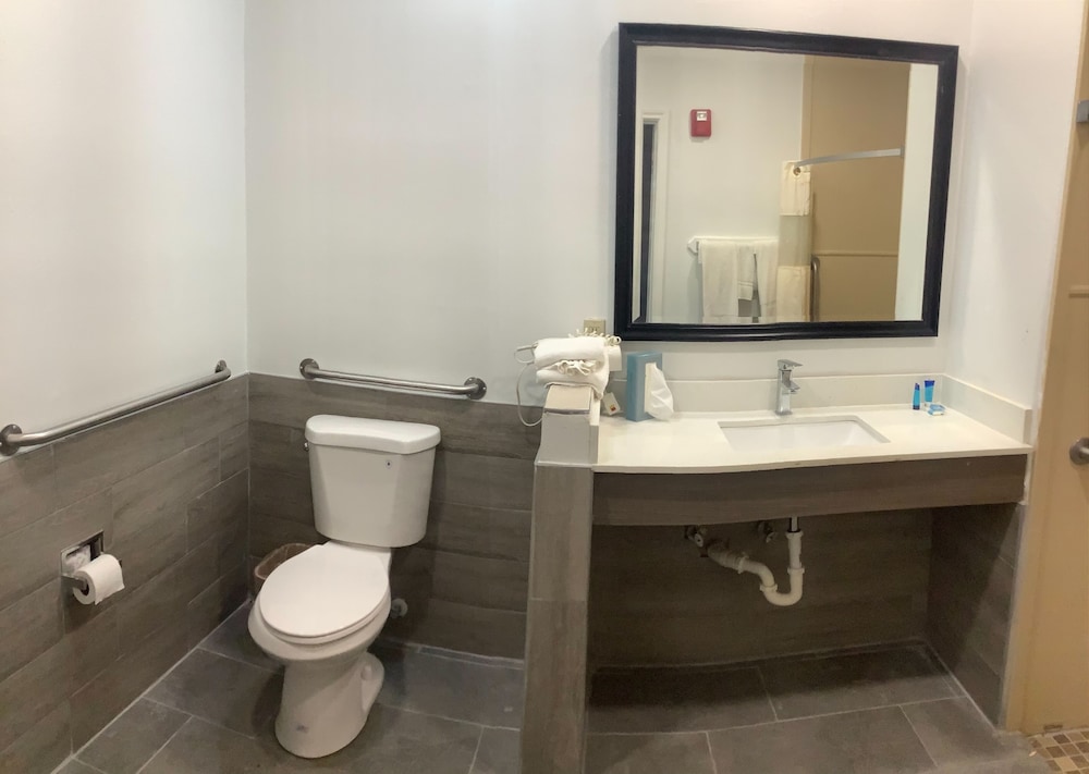 Americas Best Value Inn And Suites San Benito 16/37