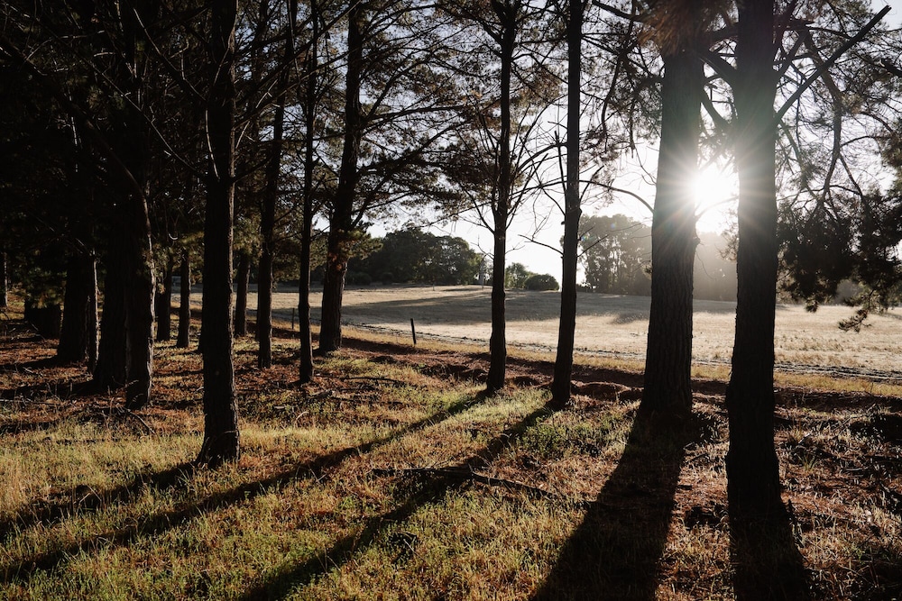 Yallingup Lodge Spa Retreat 35/50