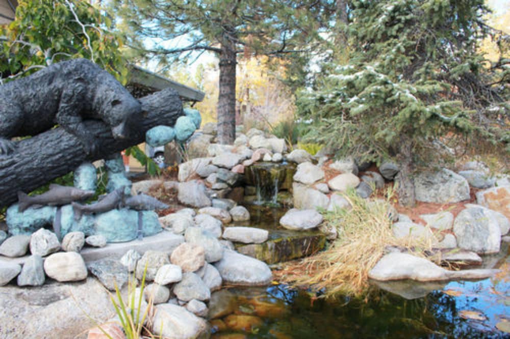 Bear Creek Resort 20/50