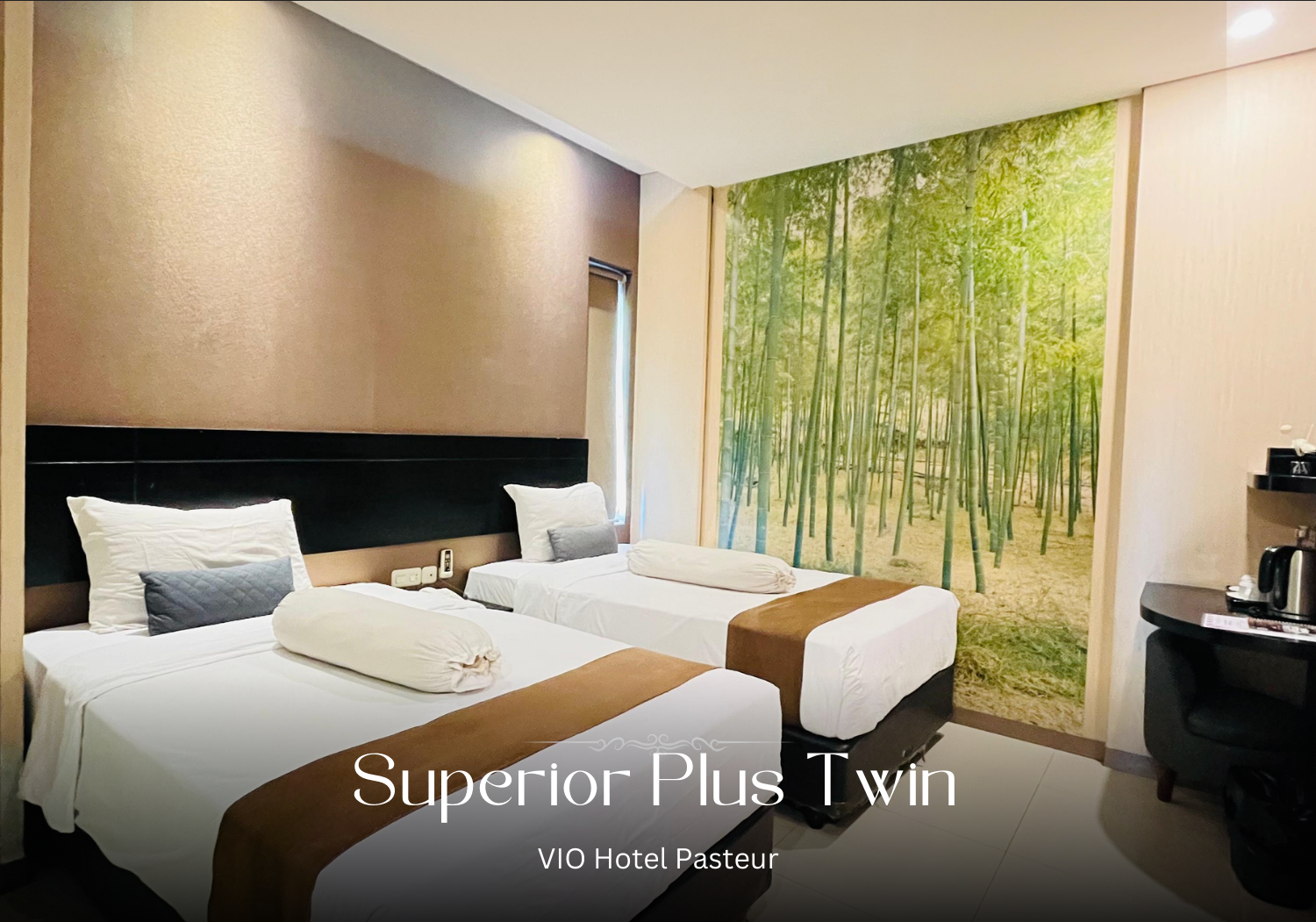 Plus, Superior, Twin Beds