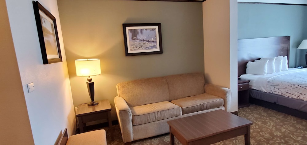 Best Western Plus Emory At Lake Fork Inn And Suites 29/42
