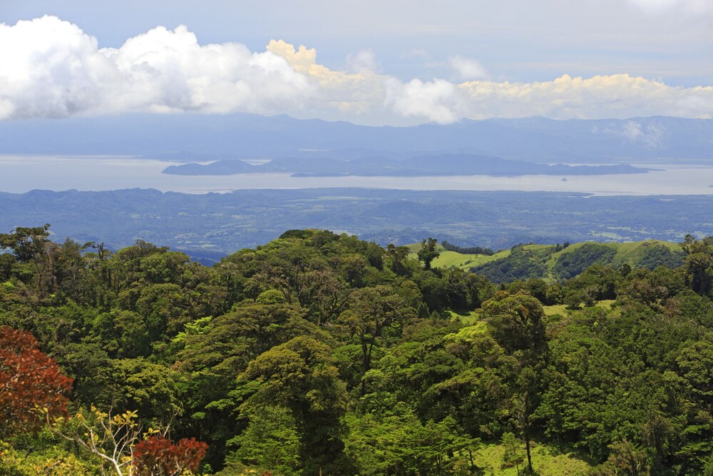 Senda Monteverde 69/71