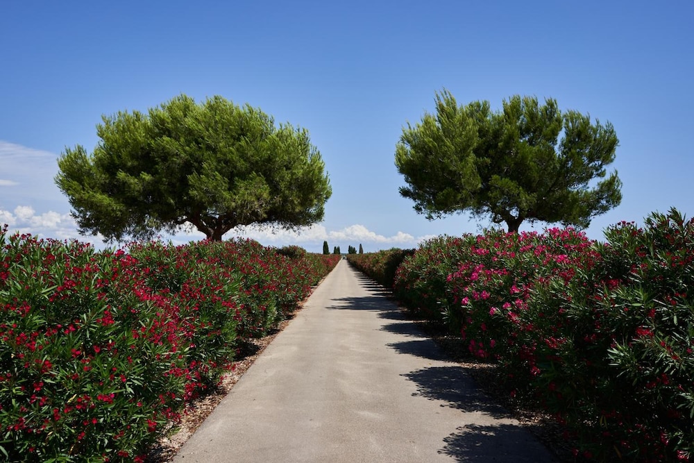 Masseria Bagnara 29/50