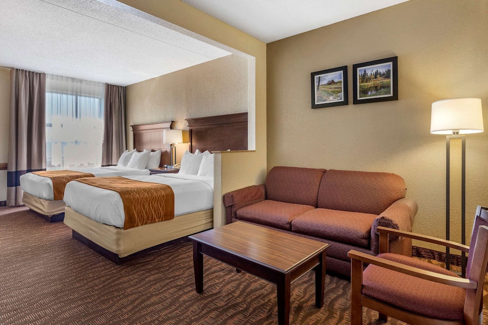 Comfort Inn and Suites Branson Meadows 12/44