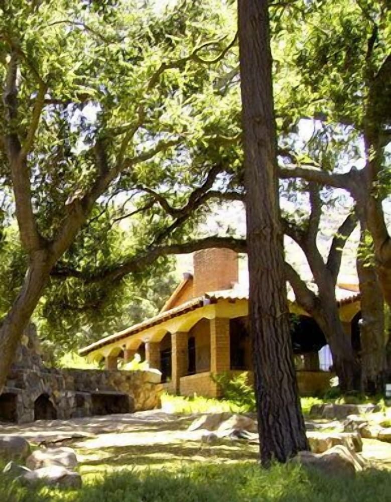 Vineyard Hacienda 36/50