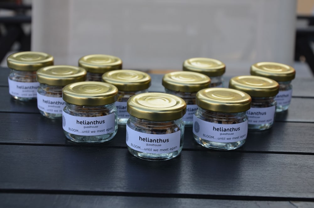 Helianthus Guesthouse 21/50