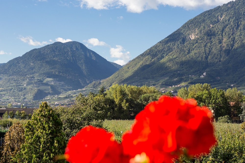 Hotel Gruberhof 23/31