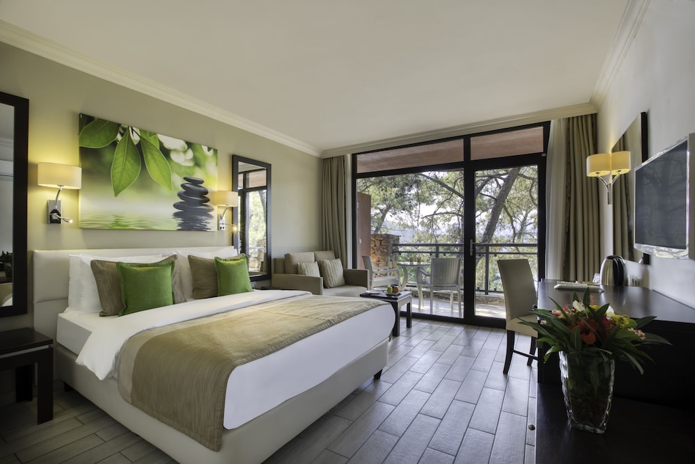 غرفة قياسية بسرير مزدوج أو سريرين منفصلين بإطلالة جزئية على البحر، Marmaris Bay Resort - Adults Only (16+) 4/5