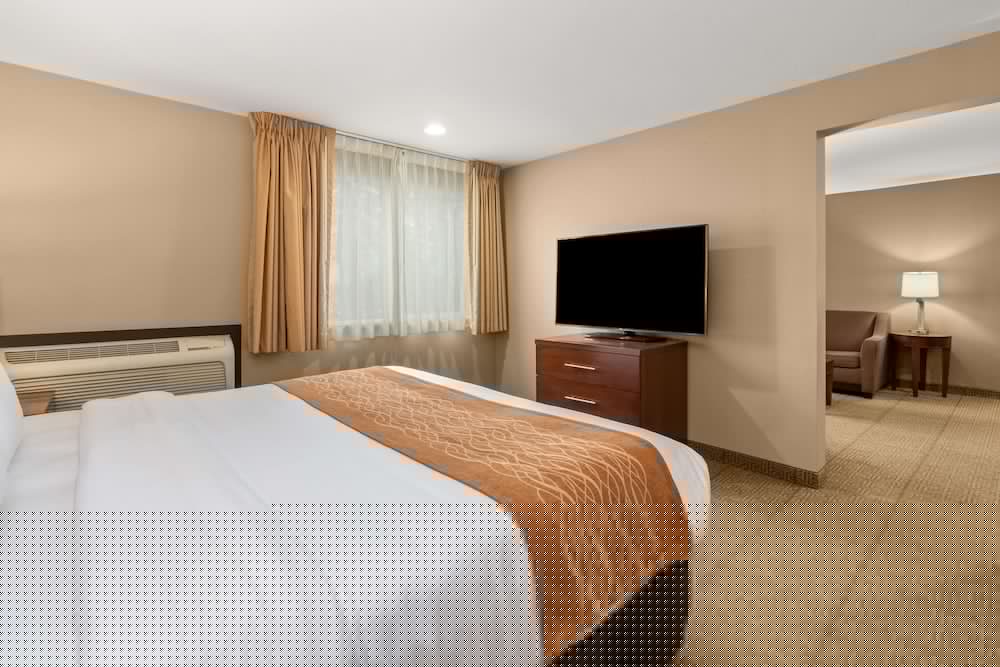 Comfort Inn & Suites Beaverton - Portland West 17/41