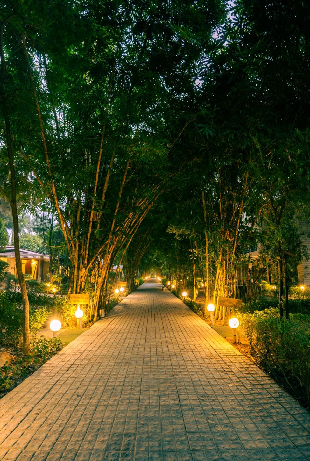 Corbett Tusker Trail 25/27