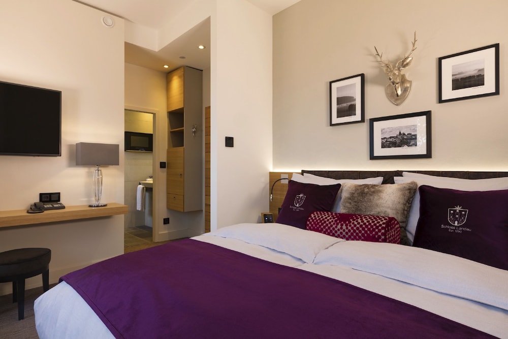 Hotel Brunnenhaus Schloss Landau 7/50