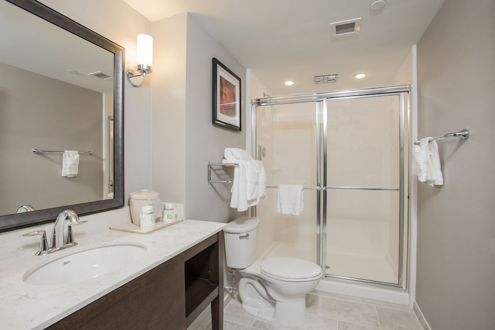 HOLIDAY INN HOTEL SUITES CINCINNATI DOWNTOWN 15/56