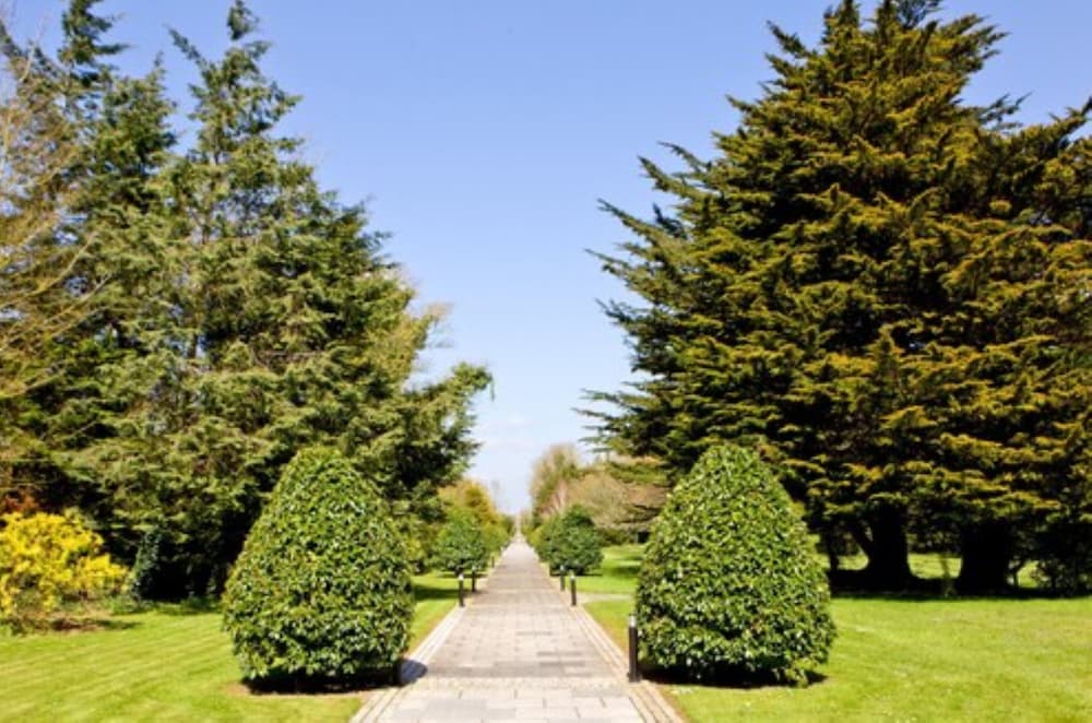 Moyvalley Hotel and Golf Resort 4/37