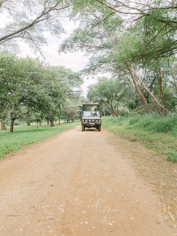 Lilayi Lodge 39/50