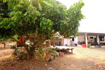Mini Guesthouse 14/19