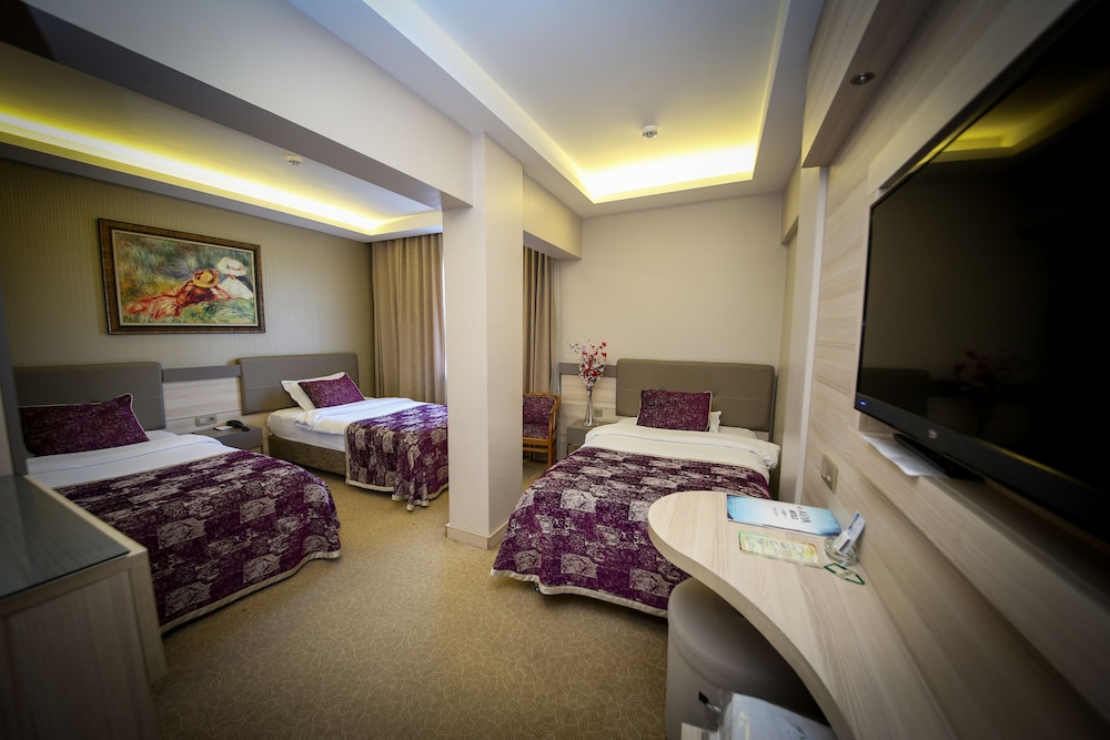 Asya Hotel 18/41