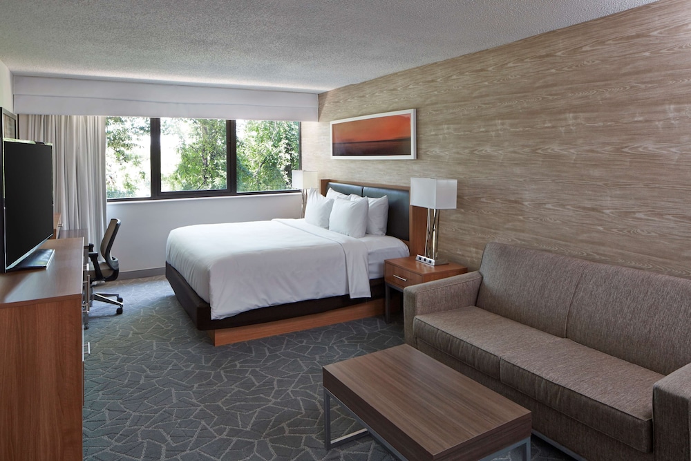 Suite, King Bed