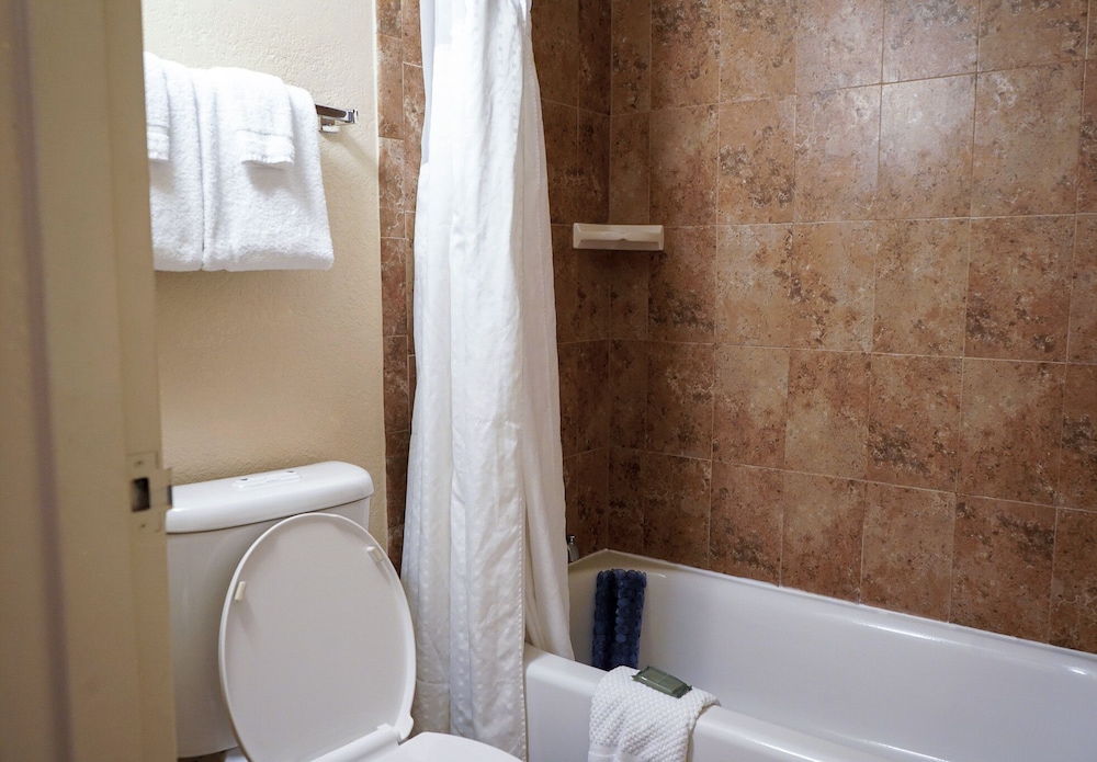 Rosen Inn At Pointe Orlando 48/50