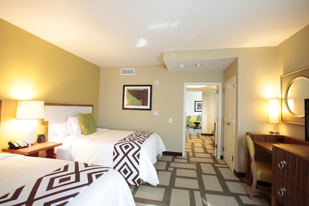 Embassy Suites by Hilton Houston Downtown 25/71