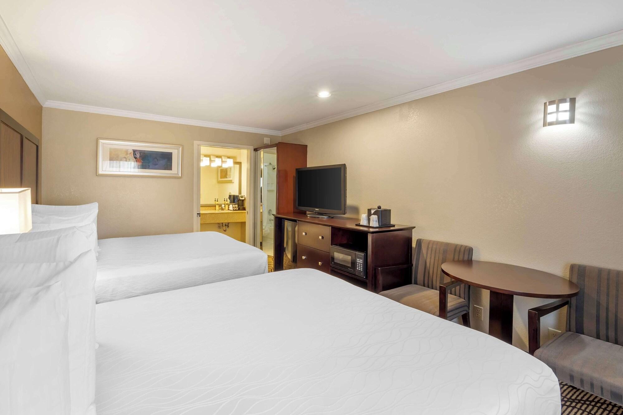 Suite, Multiple Beds